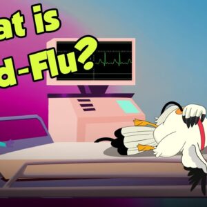 What Causes Bird Flu? | BIRDFLU Pandemic | Virus | Dr Binocs Show | Peekaboo Kidz