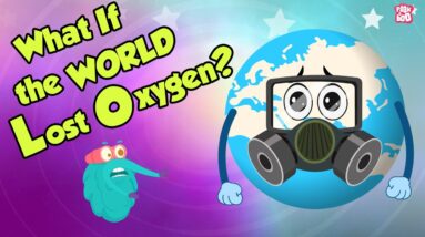 What If The World Lost OXYGEN for 5 seconds? | Dr Binocs Show | Peekaboo Kidz