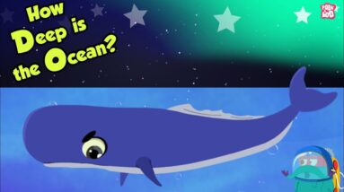 How Deep Is The Ocean? | OCEAN DEPTH | Dr Binocs Show | Peekaboo Kidz