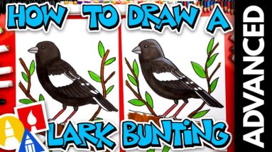 How To Draw A Lark Bunting - Advanced