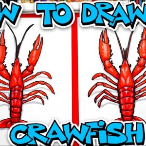How To Draw A Realistic Crawfish