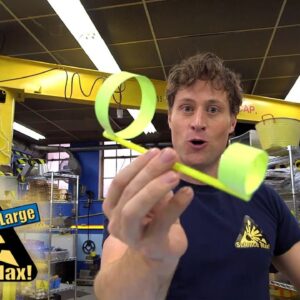 Science Max|Build It Yourself|Hoop Glider| SCIENCE Education