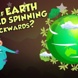 What If EARTH Starts Spinning Backward? | Earth | Dr Binocs Show | Peekaboo Kidz