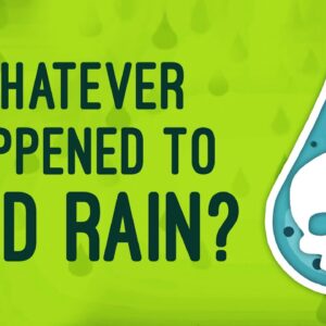 Whatever happened to acid rain? - Joseph Goffman