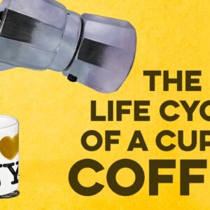 The life cycle of a cup of coffee - A.J. Jacobs
