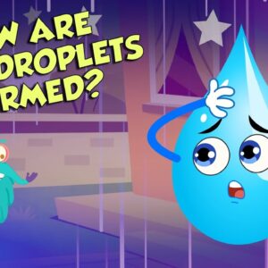How Are Rain Droplets Formed? | WATER CYCLE | The Dr Binocs Show | Peekaboo Kidz