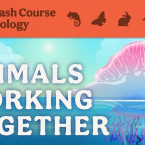 Animals Working Together: Crash Course Zoology #10