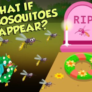 What If All Mosquitoes Disappear? | World Without MOSQUITOES | The Dr Binocs Show | Peekaboo Kidz