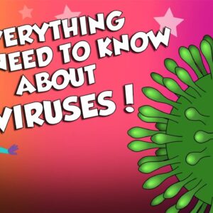 What Is A Virus? | Everything You Need To Know About Viruses | Dr Binocs Show | Peekaboo Kidz
