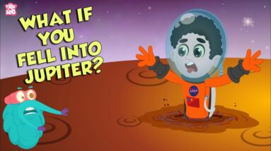 What if You Fell Into Jupiter? | Space Video | Planet Jupiter |  Dr Binocs Show | Peekaboo Kidz