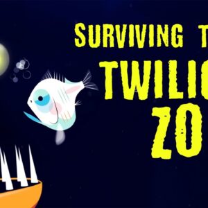 Could you survive the real Twilight Zone? - Philip Renaud and Kenneth Kostel