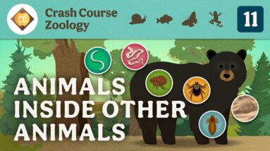 Parasites: Crash Course Zoology #11