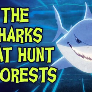 The sharks that hunt in forests - Luka Seamus Wright