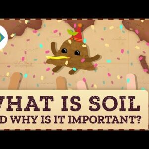 What is Soil (and Why is it Important)?: Crash Course Geography #17