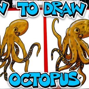 How To Draw A Realistic Octopus