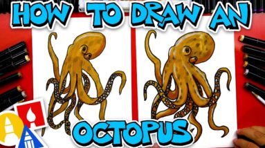 How To Draw A Realistic Octopus